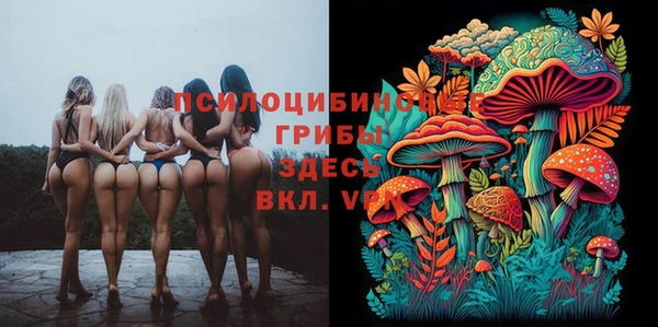 марихуана Белокуриха