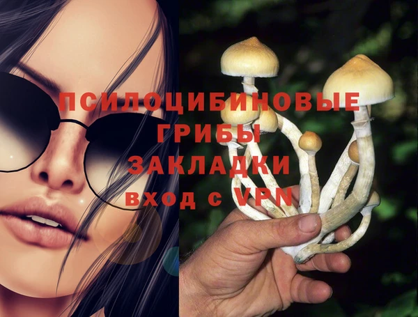 марихуана Белокуриха