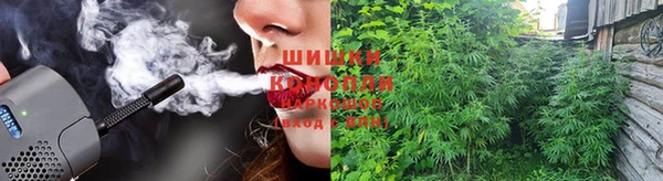 крисы Белоозёрский
