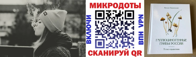 Псилоцибиновые грибы Psilocybine cubensis Ельня